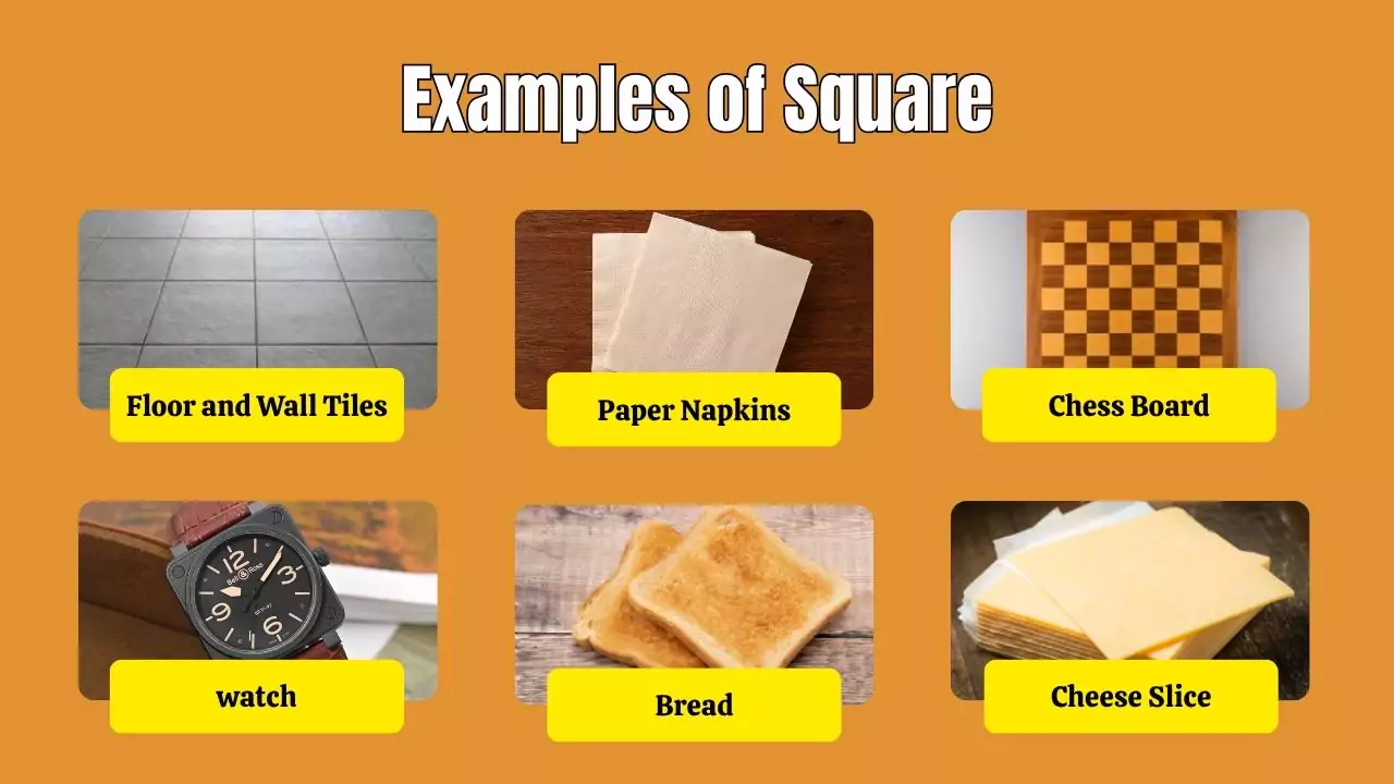 Examples of Square in everyday life