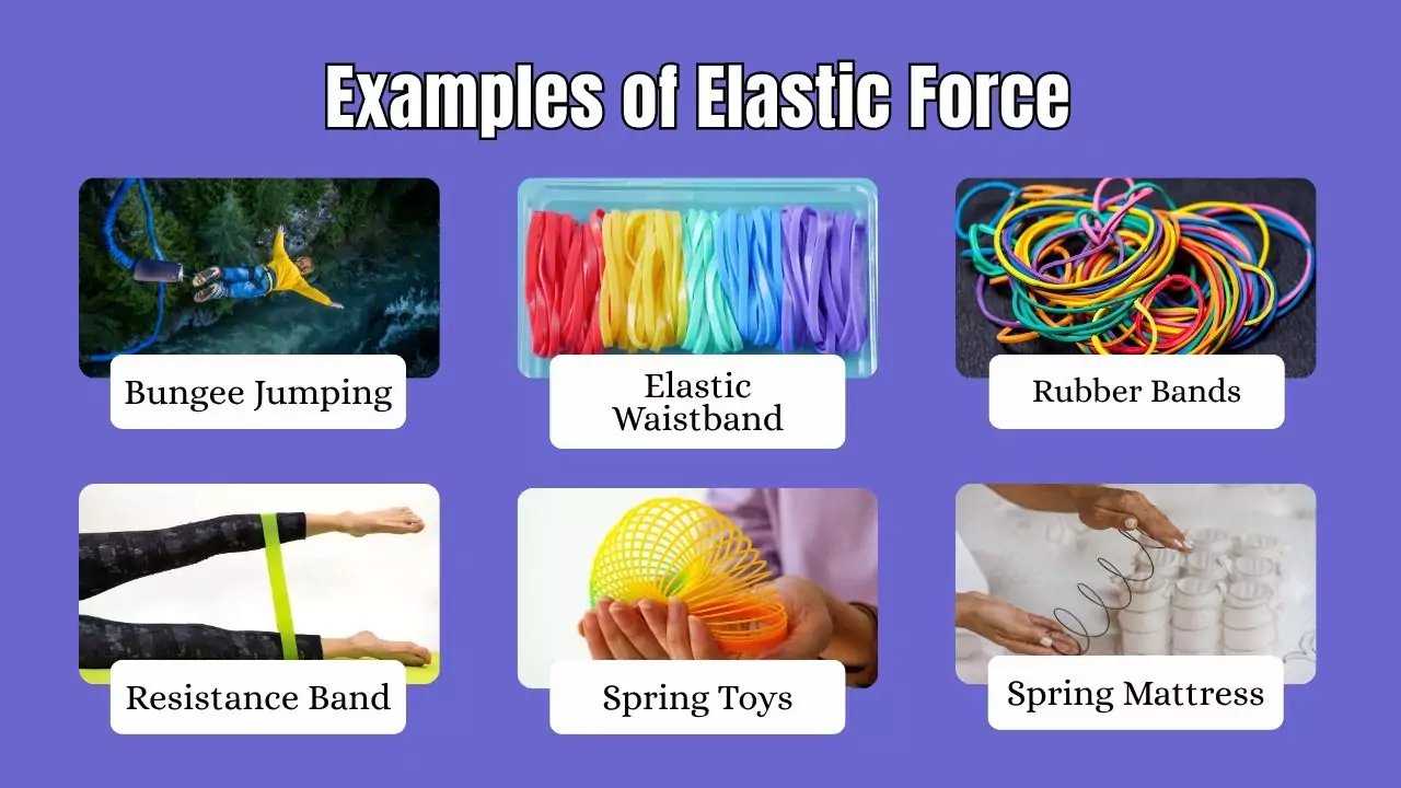 Examples of Elastic Force