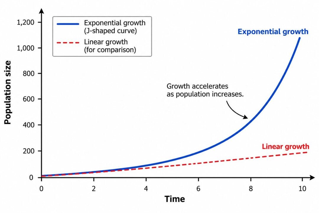 Exponential Growth Graph